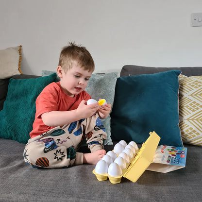 Montessori Geometric Eggs