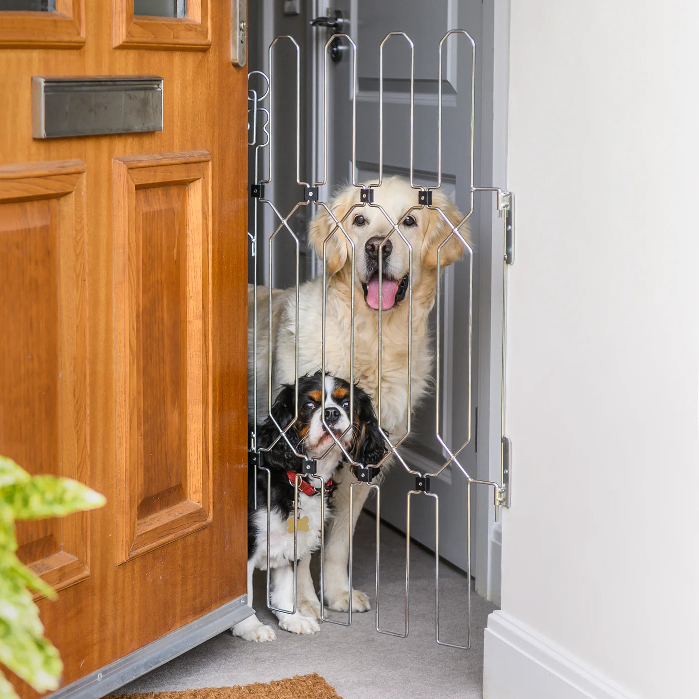 EasyAnswer™ - Front Door Dog Gate