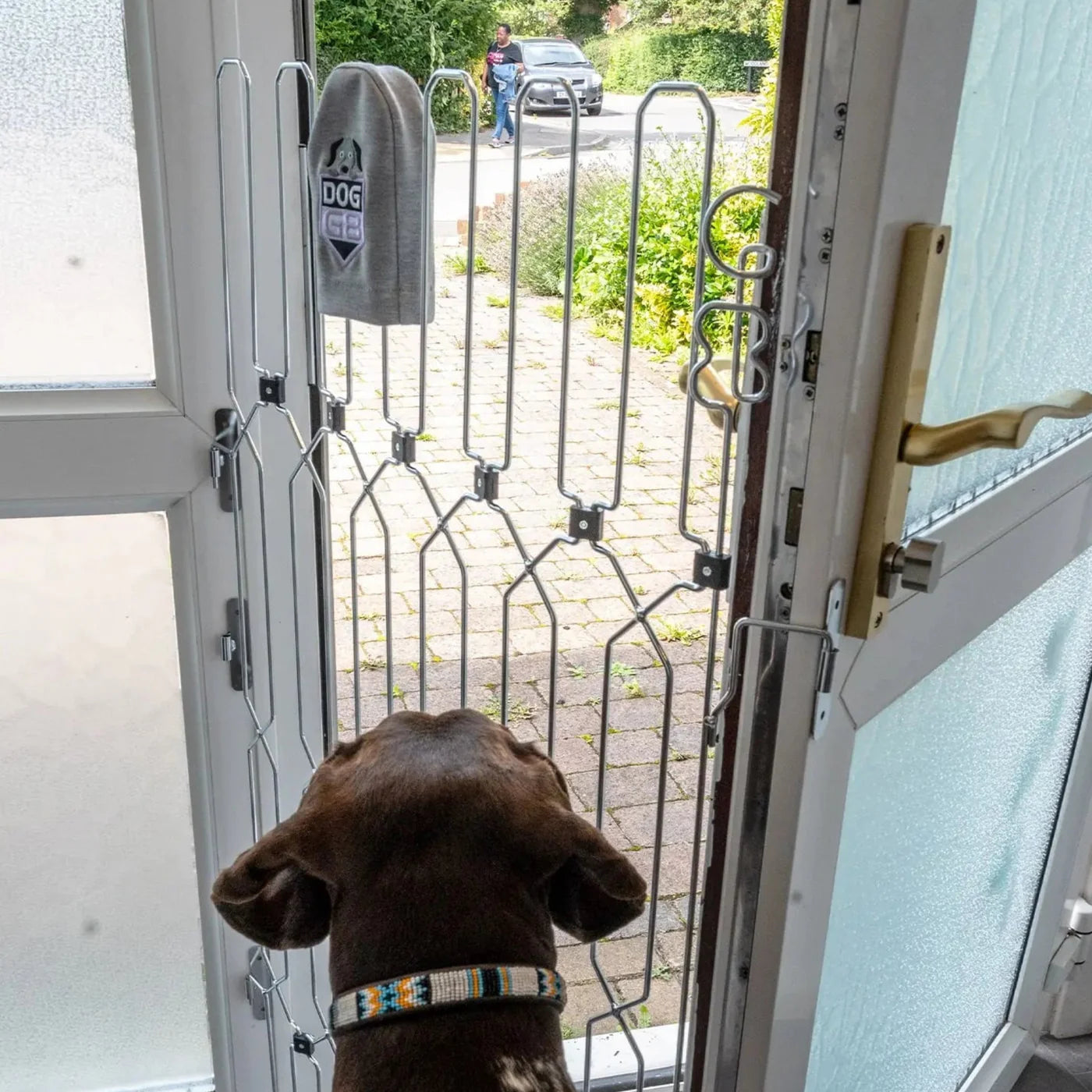 EasyAnswer™ - Front Door Dog Gate