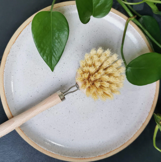 Long-Handled Bamboo Scrub Brush